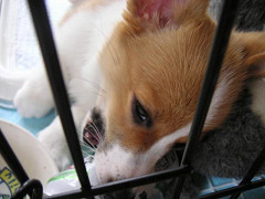 Resize of PICT0717_thumb.jpg